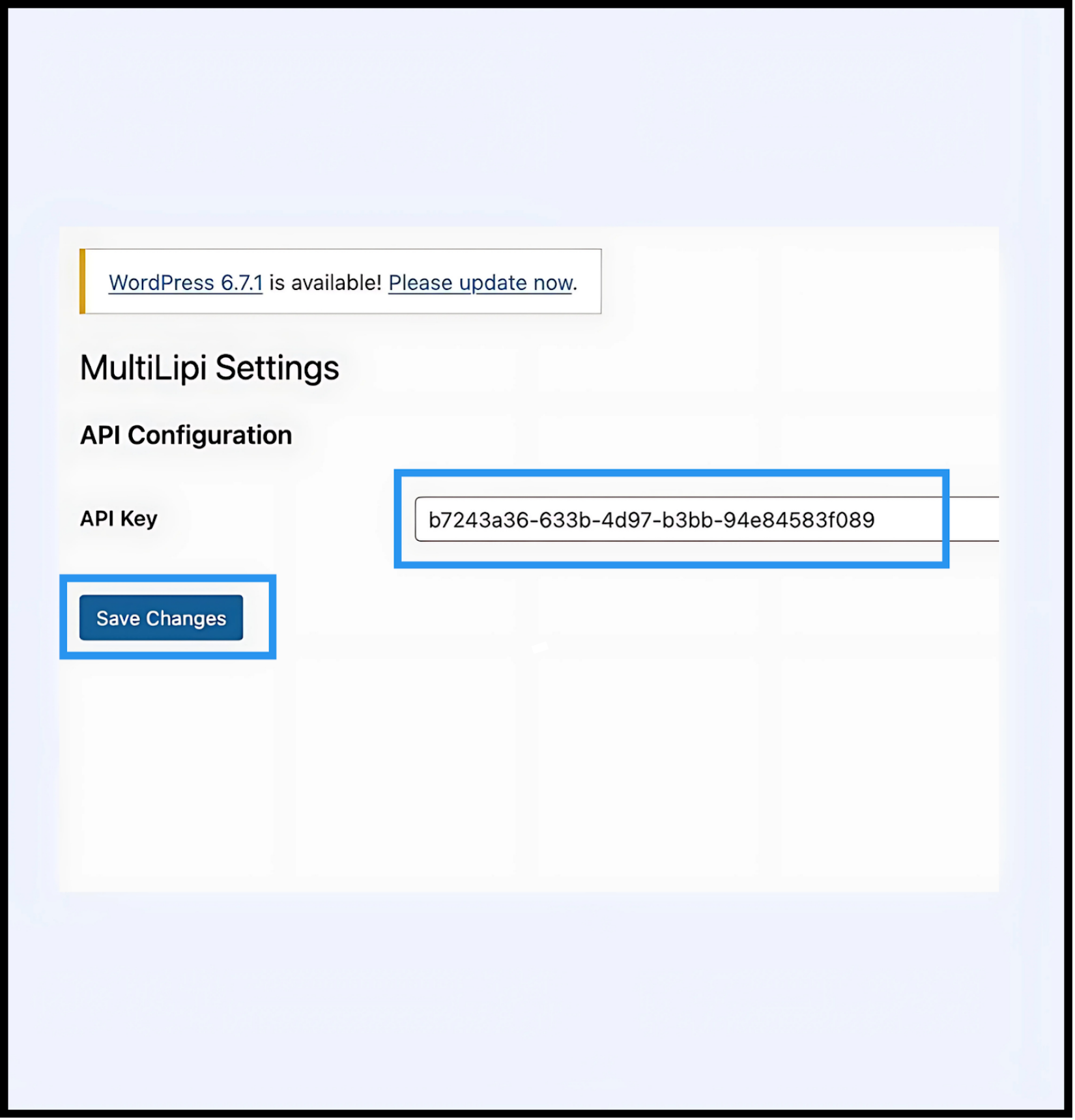 Campo de clave API en la página de configuración del plugin MultiLipi en WordPress