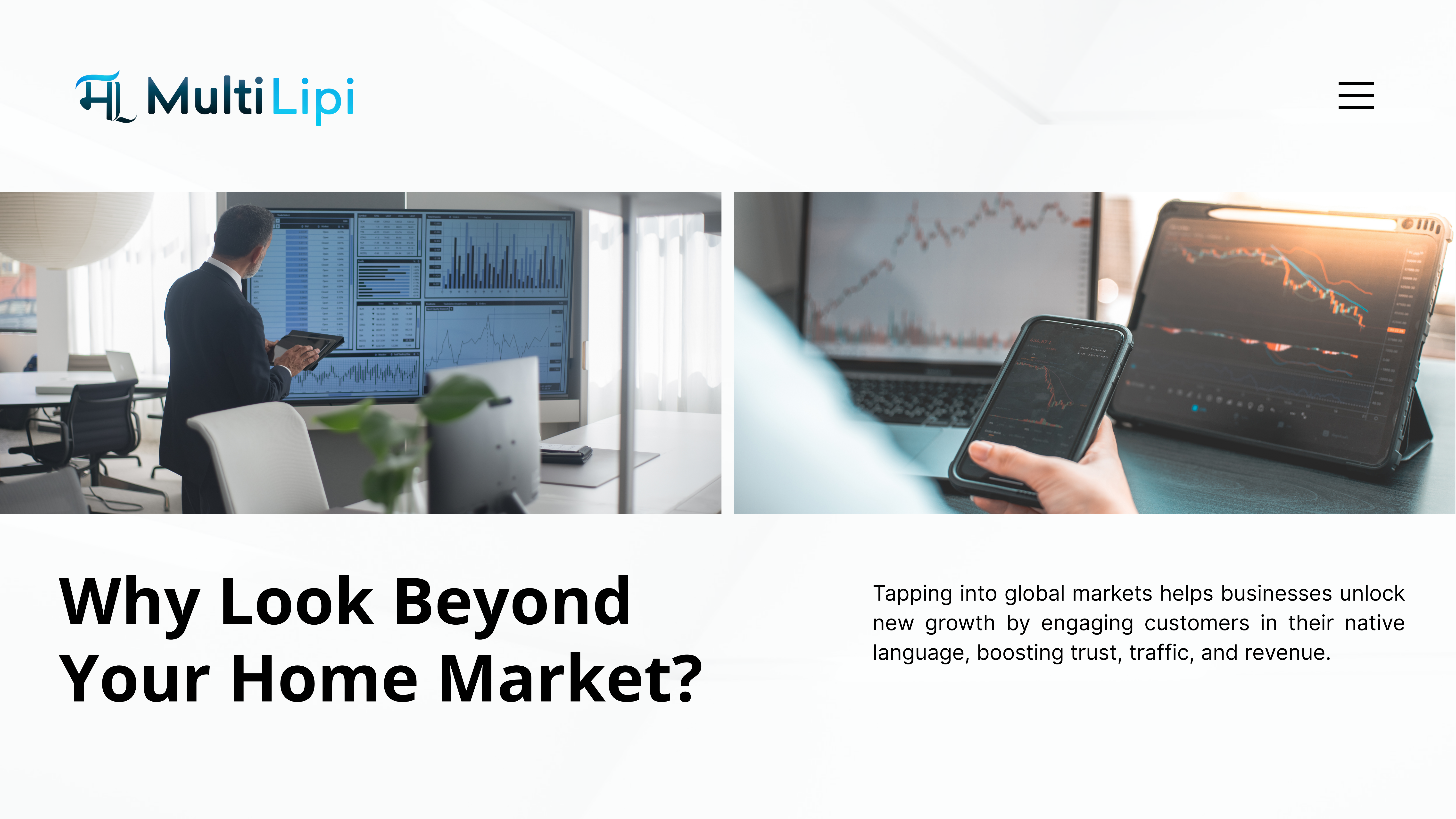 MultiLipi global, traffic, and revenue