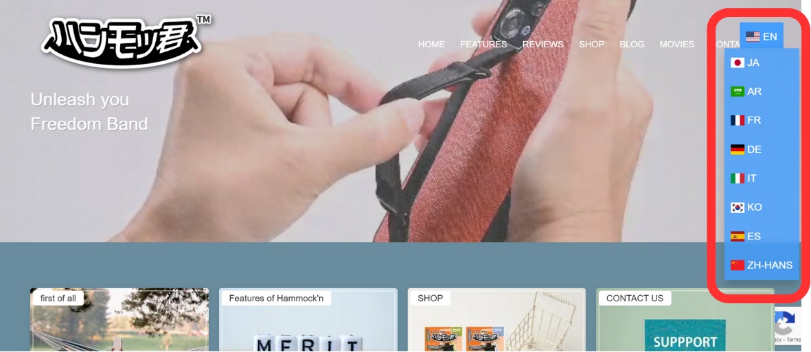 Multilipi x Hammockn Case Study on multilingual seo solution